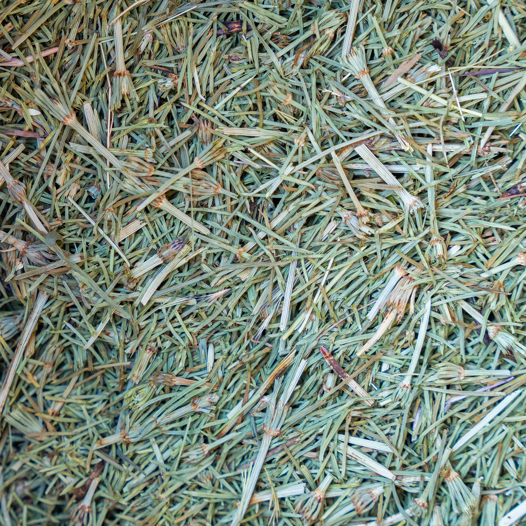 Почвы и лозы Francis Boulard